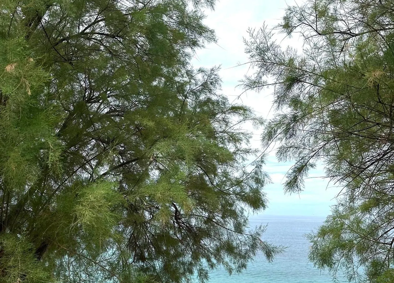 Hotel Potami Seashell Himara